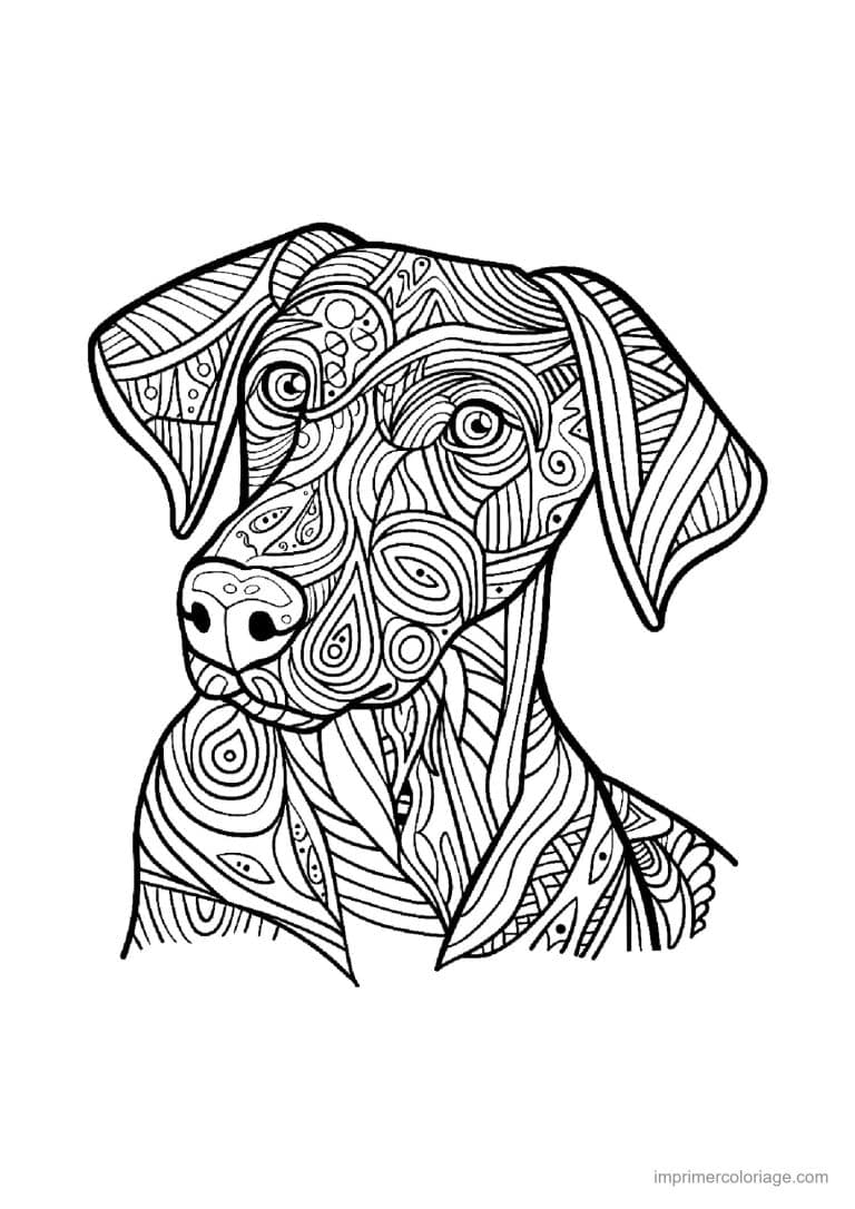 coloriage mandala chien braque 2 - dessin gratuit &agrave; imprimer