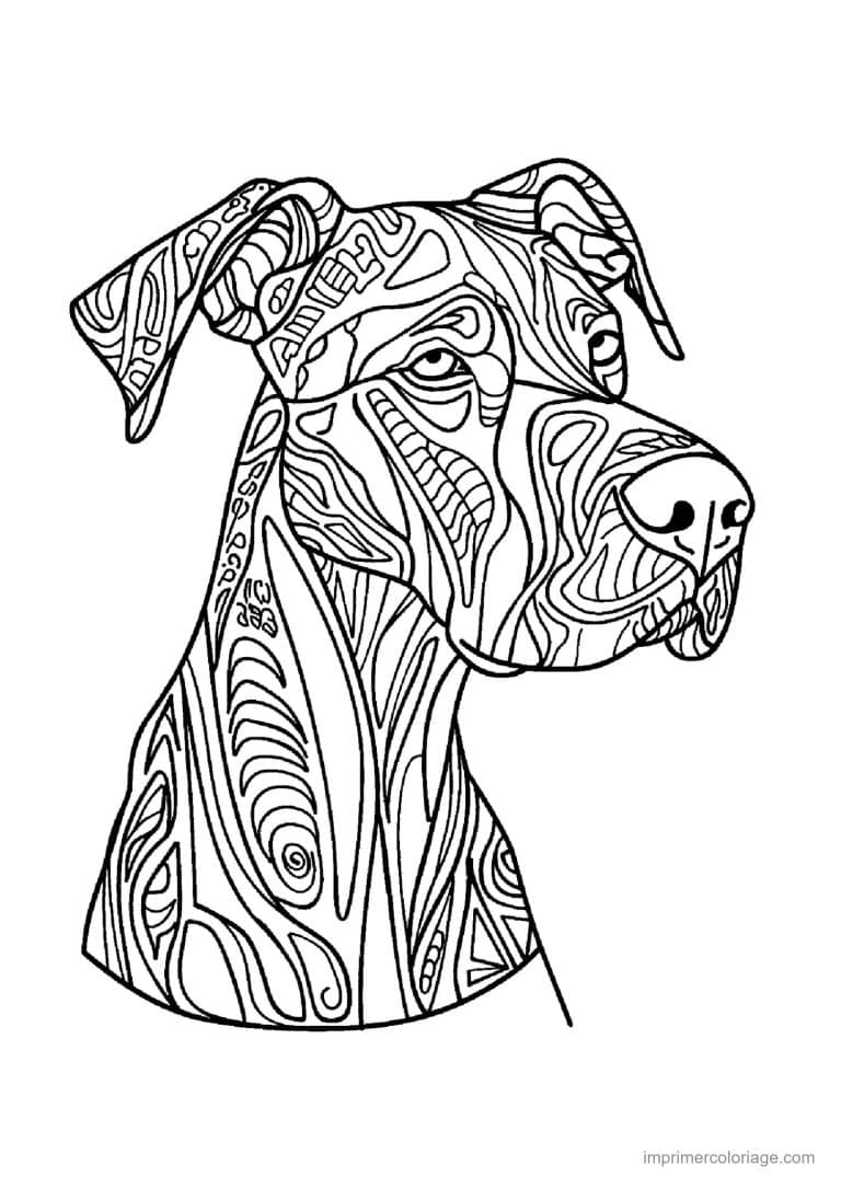 coloriage mandala chien braque - dessin gratuit &agrave; imprimer