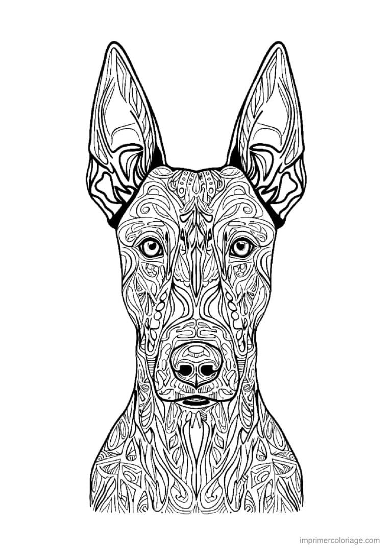 coloriage mandala chien doberman - dessin gratuit &agrave; imprimer