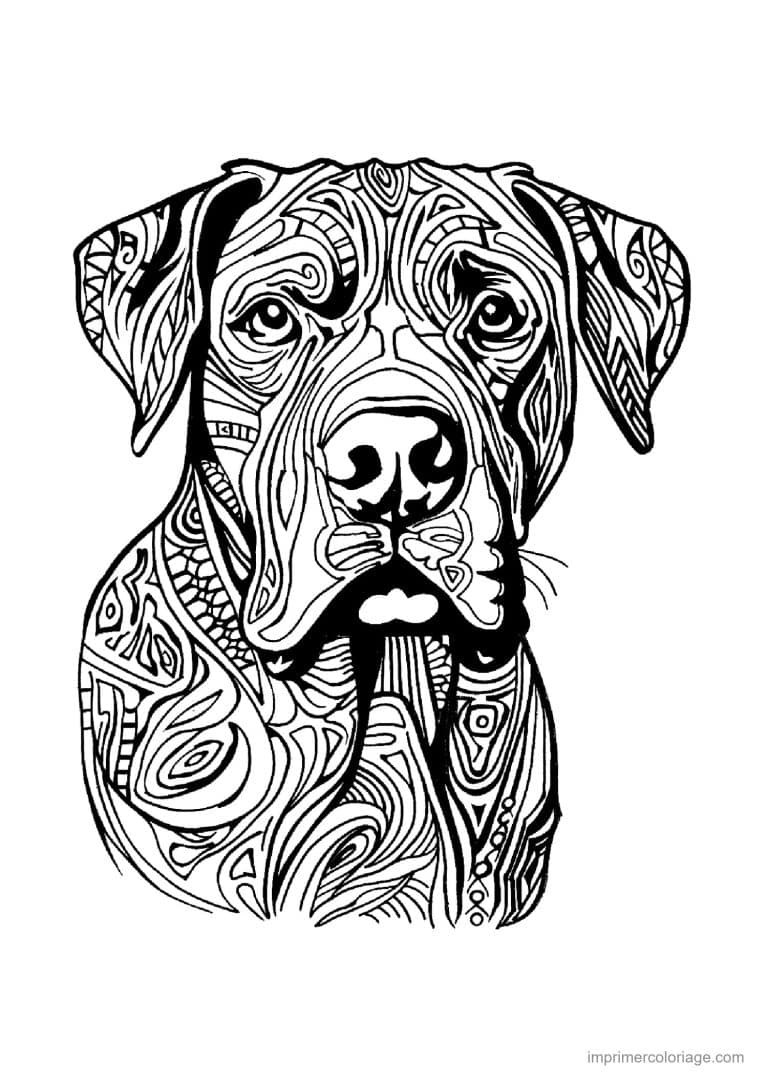 coloriage mandala chien dogue allemand 2 - dessin gratuit &agrave; imprimer