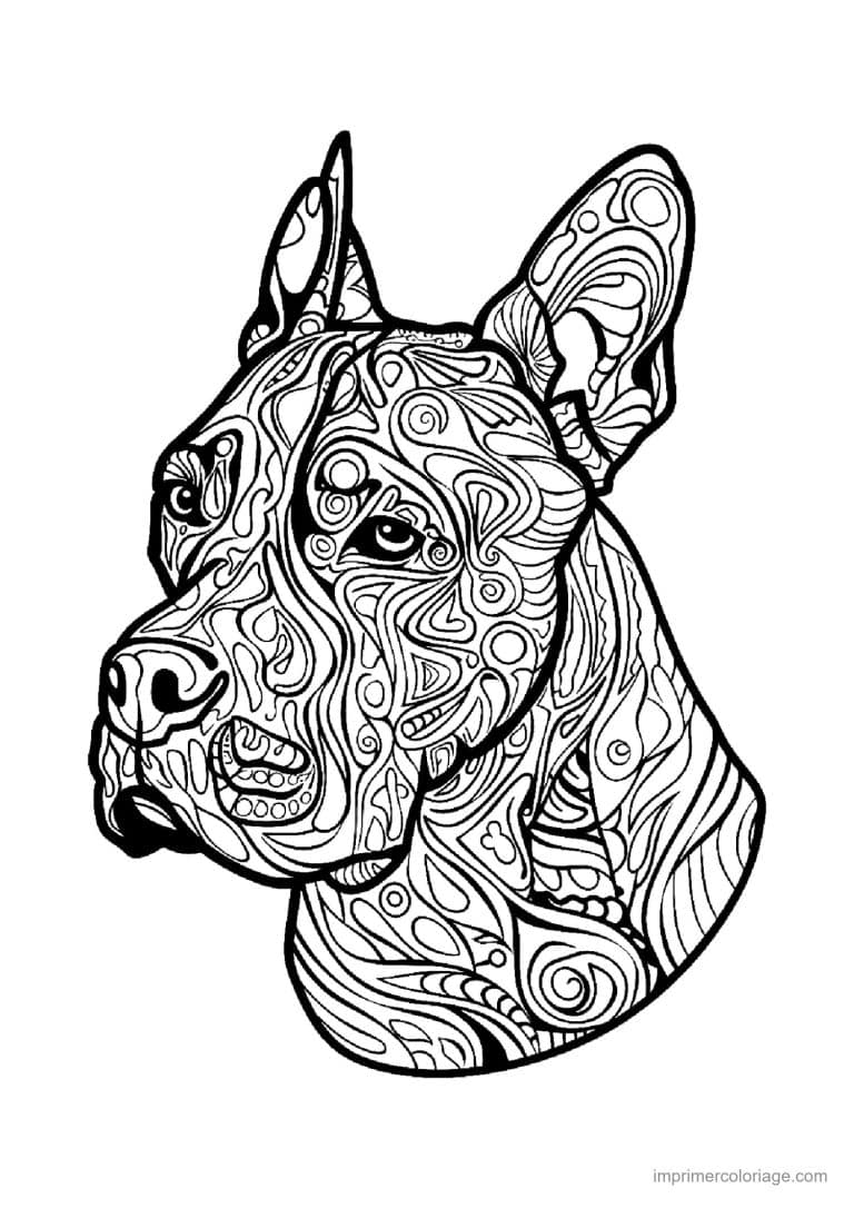 coloriage mandala chien dogue allemand - dessin gratuit &agrave; imprimer