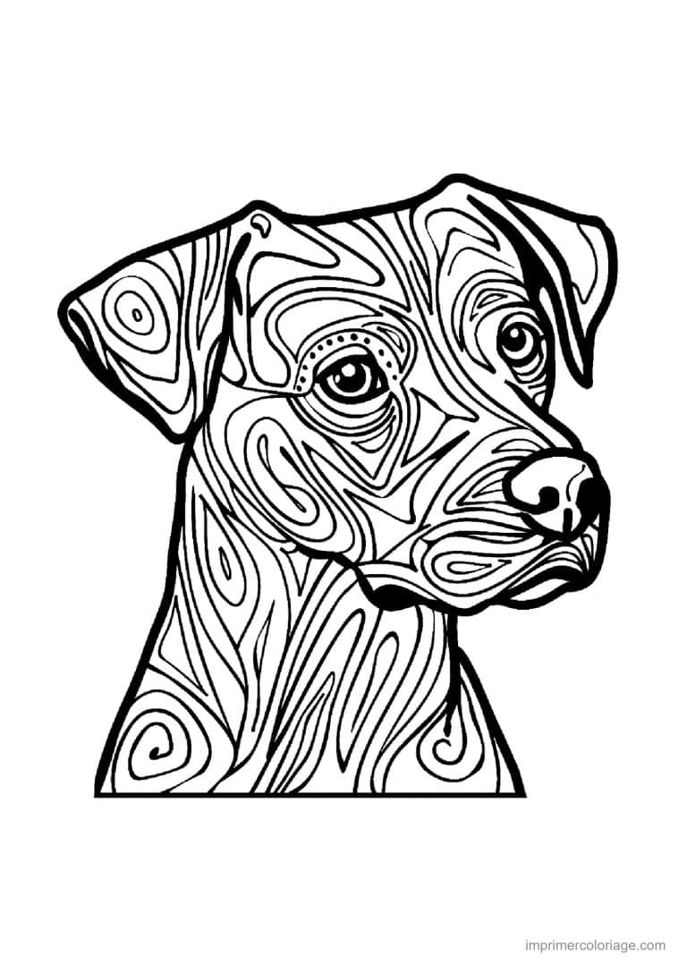 coloriage mandala chien fox terrier 2 - dessin gratuit &agrave; imprimer