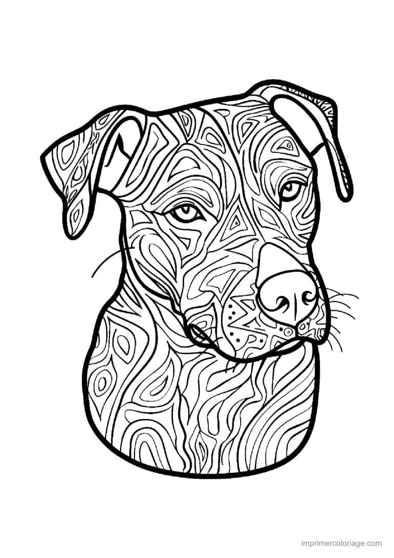 coloriage mandala chien fox terrier - dessin gratuit &agrave; imprimer