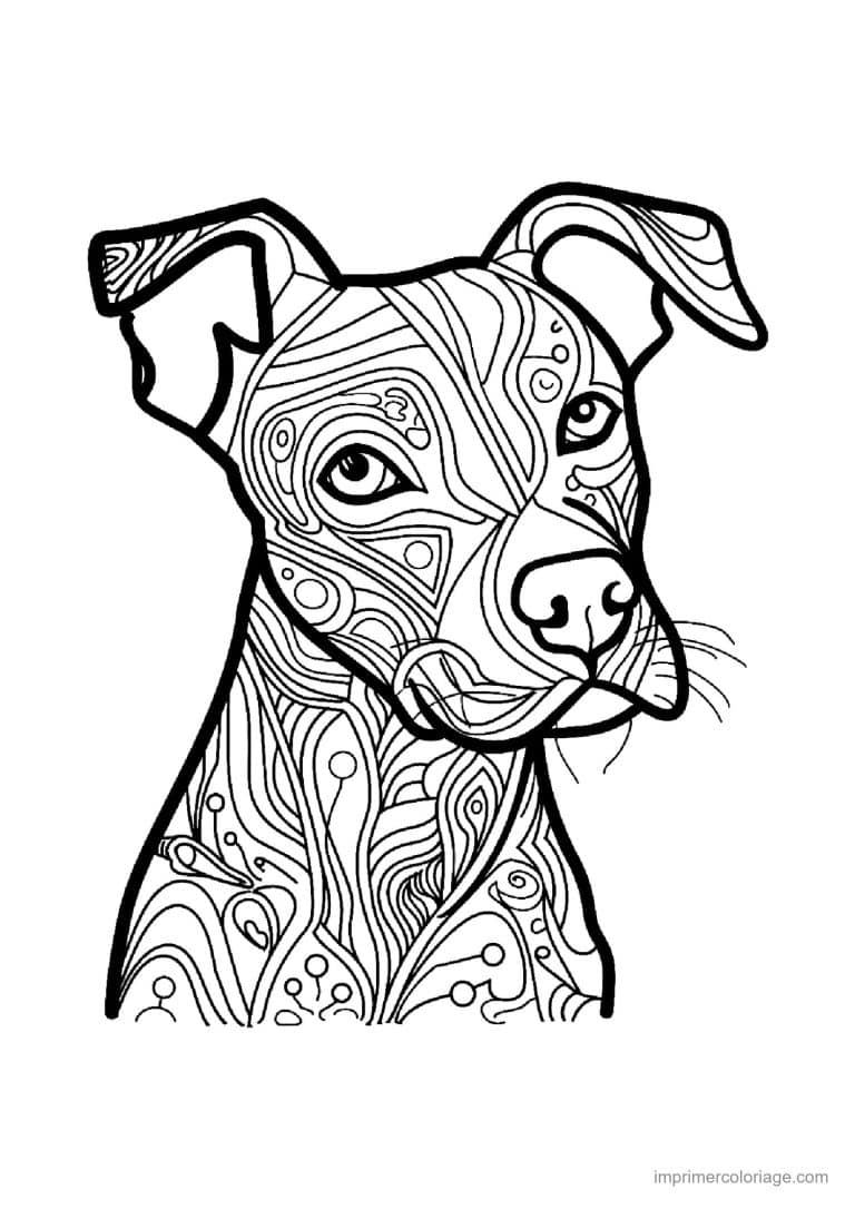 coloriage mandala chien jack russell 2 - dessin gratuit &agrave; imprimer