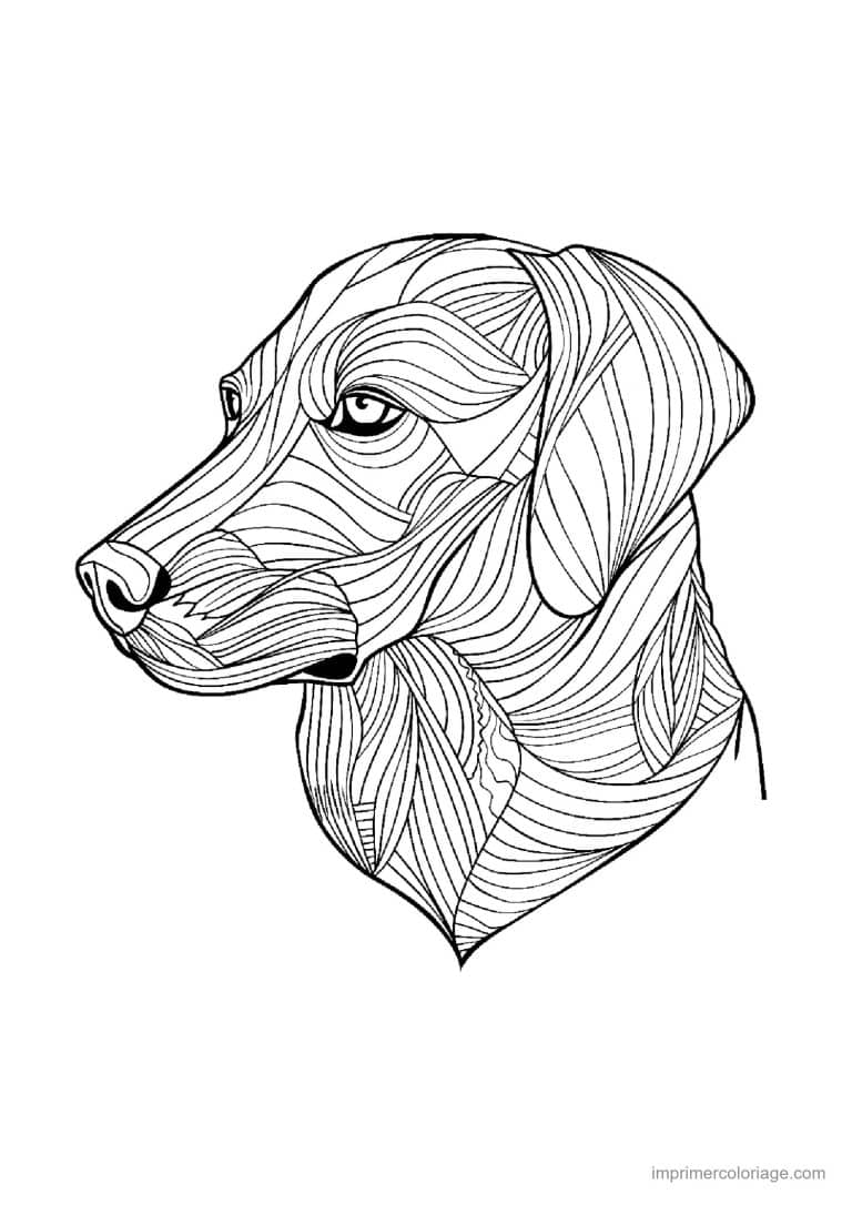 coloriage mandala chien labrador 2 - dessin gratuit &agrave; imprimer