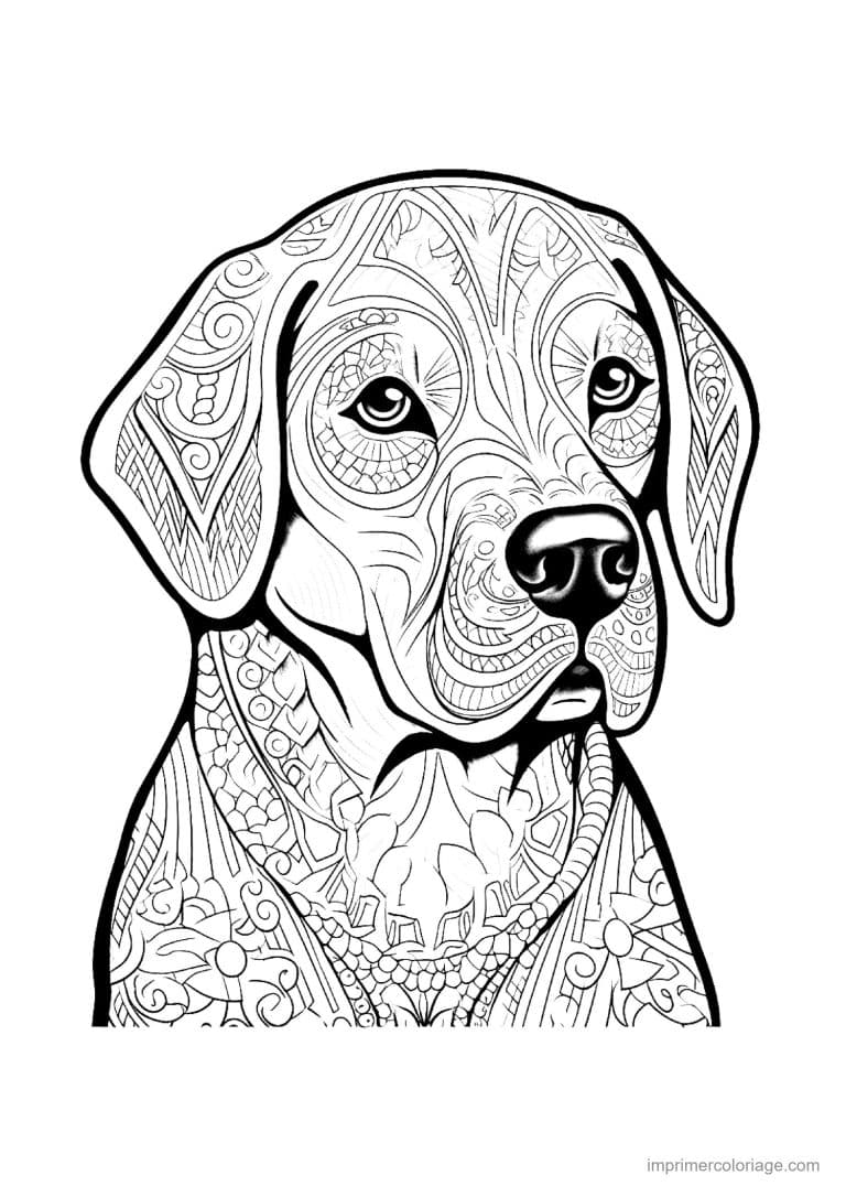 coloriage mandala chien labrador - dessin gratuit &agrave; imprimer