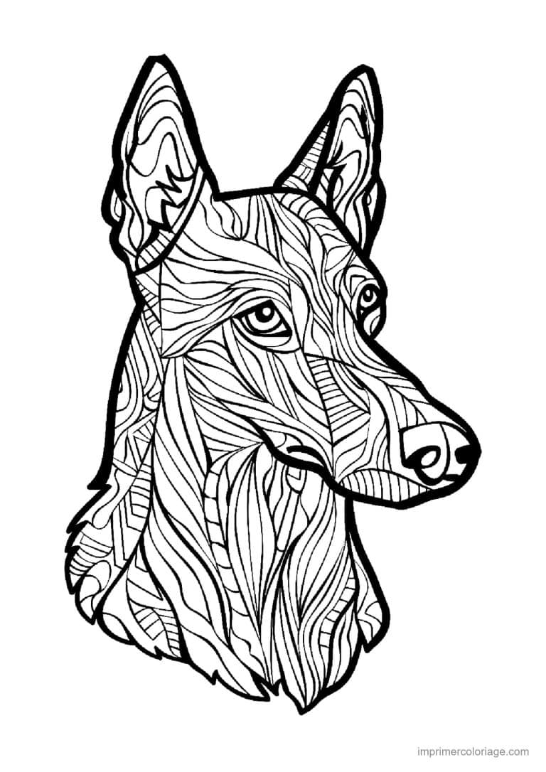 coloriage mandala chien malinois 2 - dessin gratuit &agrave; imprimer