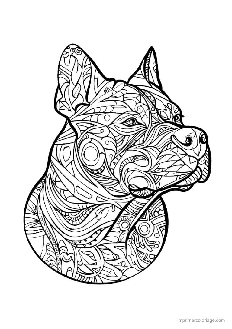 coloriage mandala chien malinois - dessin gratuit &agrave; imprimer