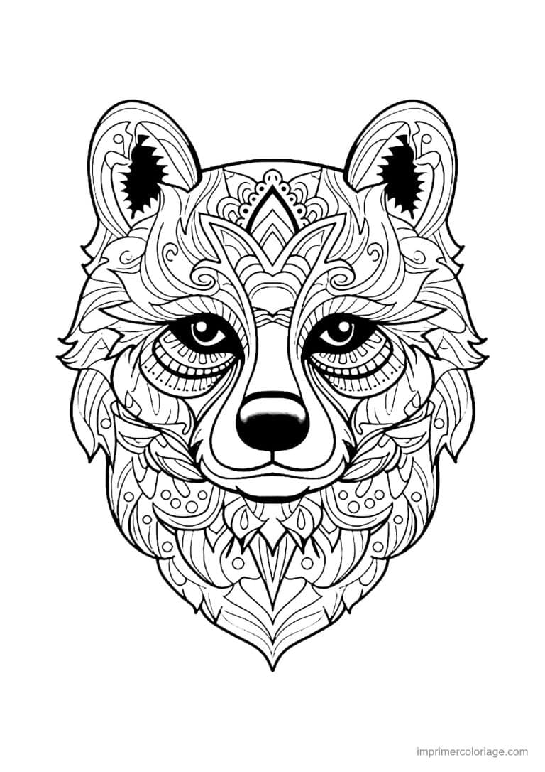 coloriage mandala chien spitz - dessin gratuit &agrave; imprimer