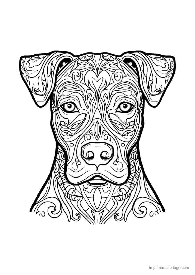 coloriage mandala chien staffordshire - dessin gratuit &agrave; imprimer