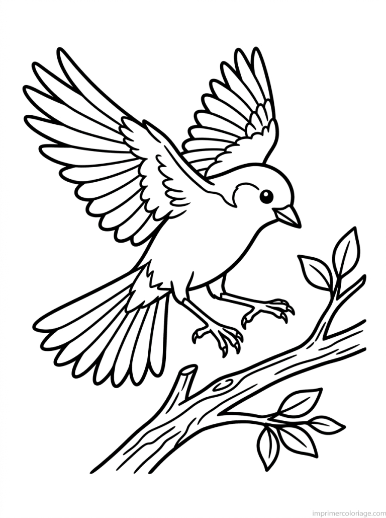 coloriage oiseau atterrit ailes à imprimer coloriage oiseau atterrit ailes - dessin gratuit à imprimer
