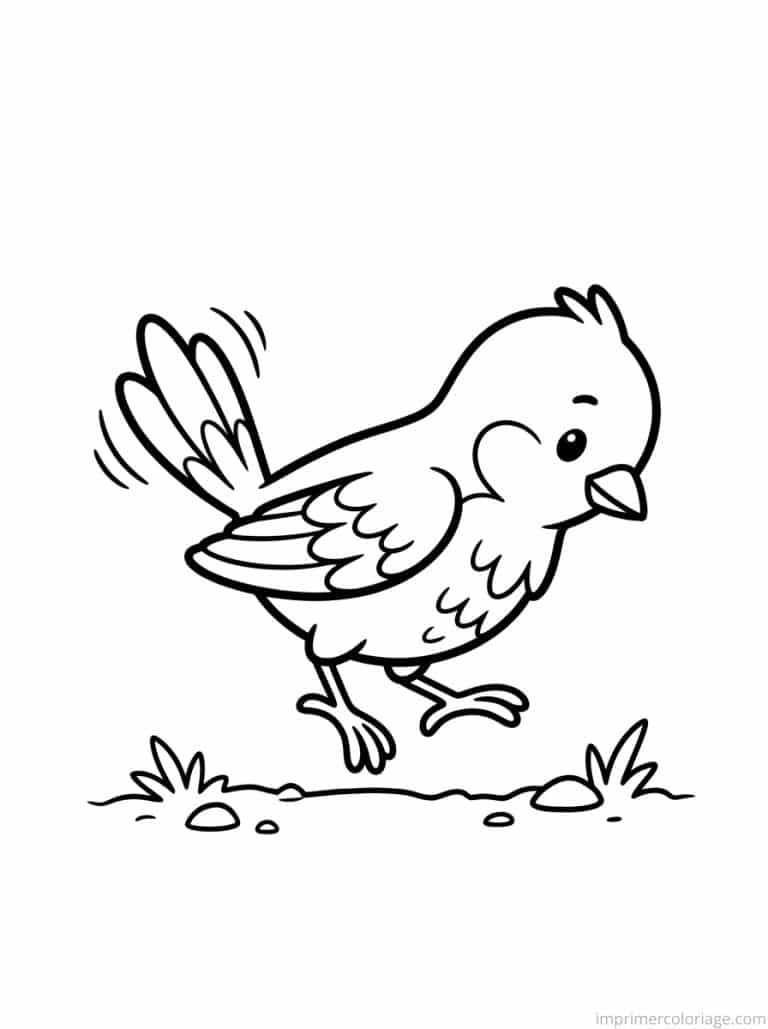 coloriage oiseau sautille sol à imprimer coloriage oiseau sautille sol - dessin gratuit à imprimer