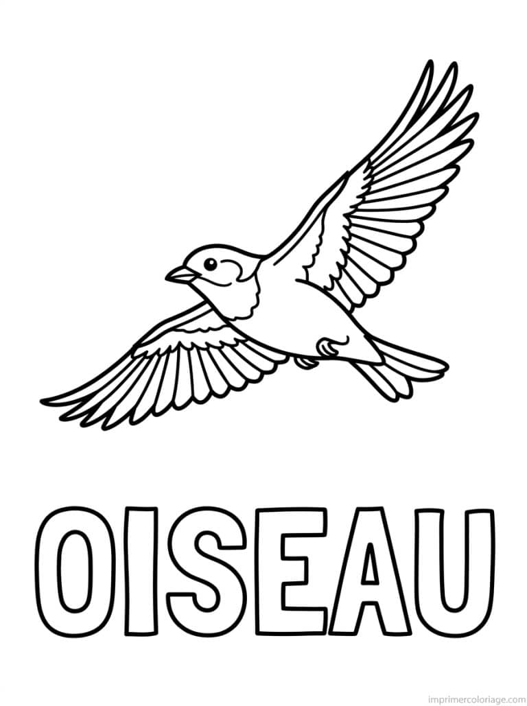 coloriage oiseau titre bas à imprimer coloriage oiseau titre bas - dessin gratuit à imprimer
