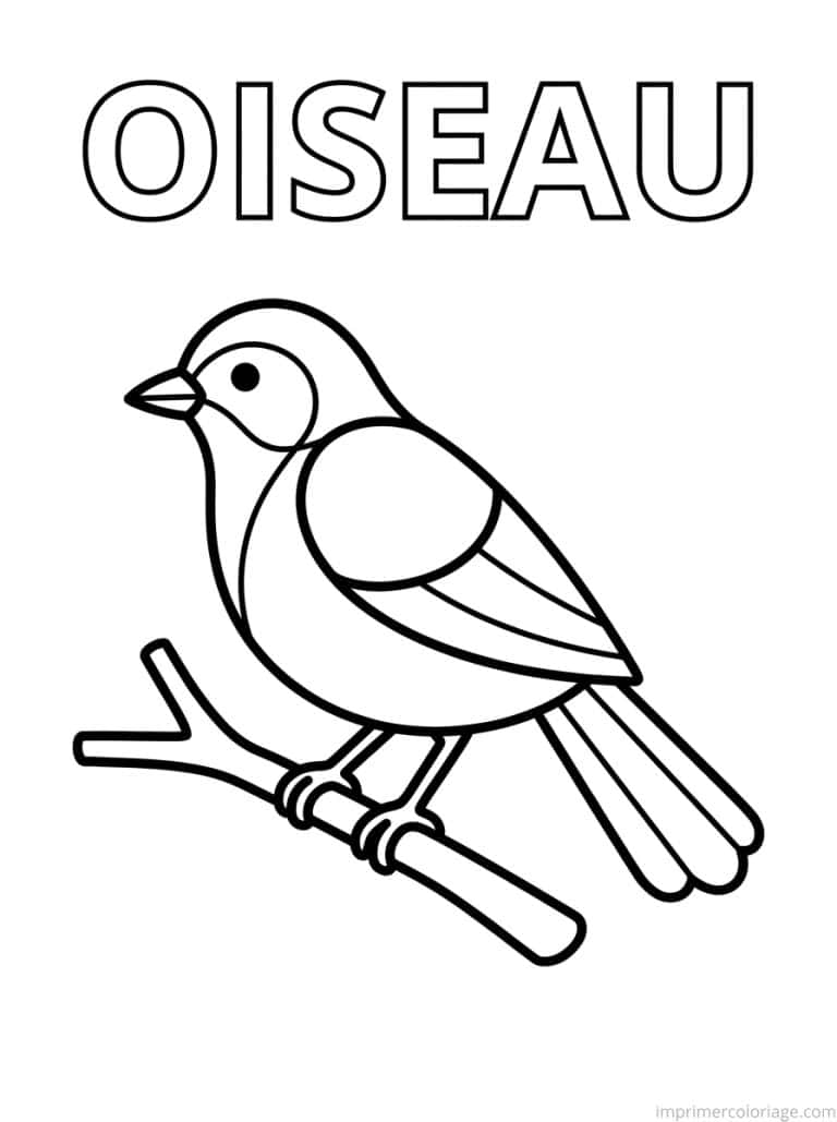 coloriage oiseau titre haut à imprimer coloriage oiseau titre haut - dessin gratuit à imprimer