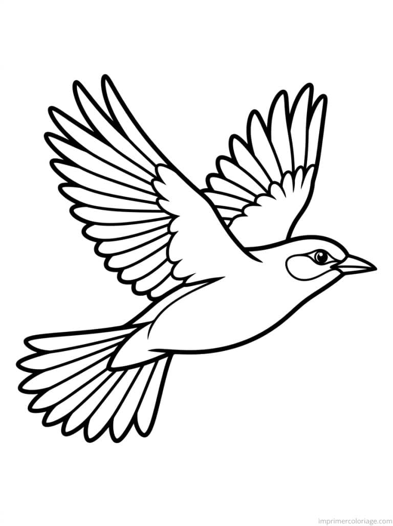 coloriage oiseau vol ailes deployees à imprimer coloriage oiseau vol ailes deployees - dessin gratuit à imprimer