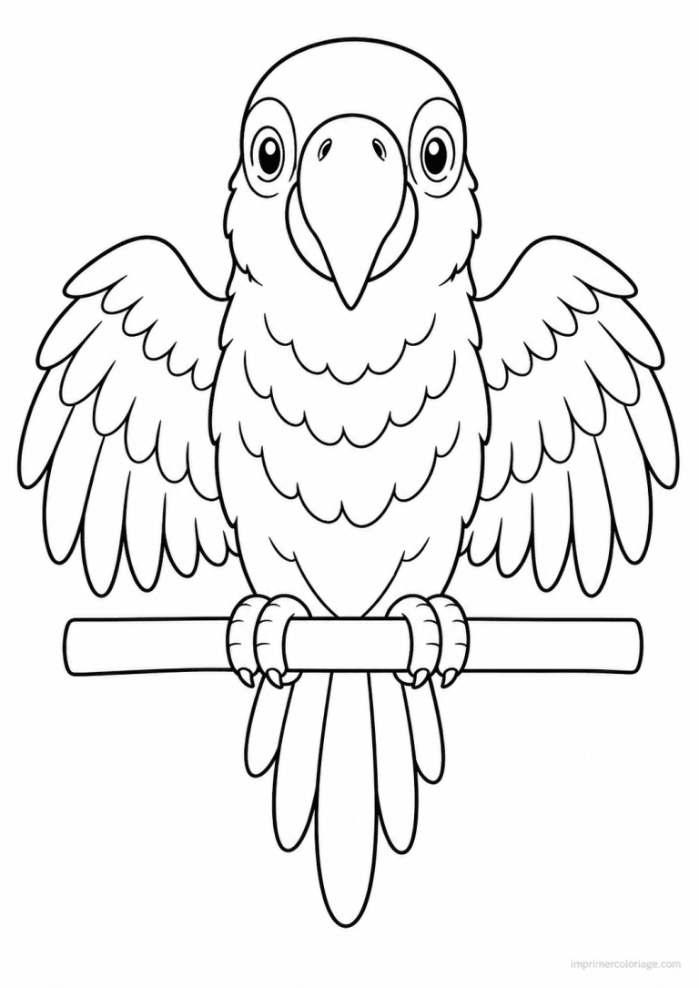 coloriage perroquet face ailes perchoir - dessin gratuit &agrave; imprimer