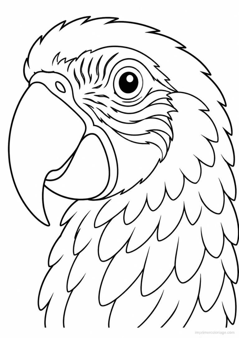 coloriage perroquet portrait bec oeil - dessin gratuit &agrave; imprimer