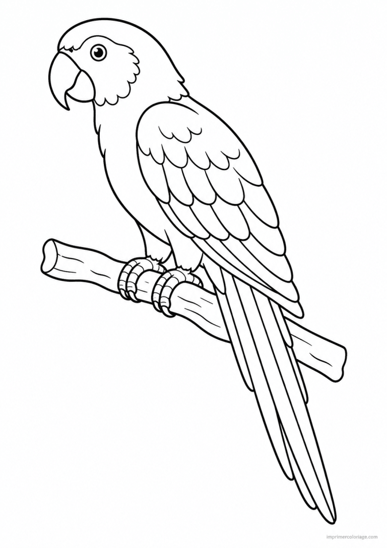 coloriage perroquet profil branche - dessin gratuit &agrave; imprimer
