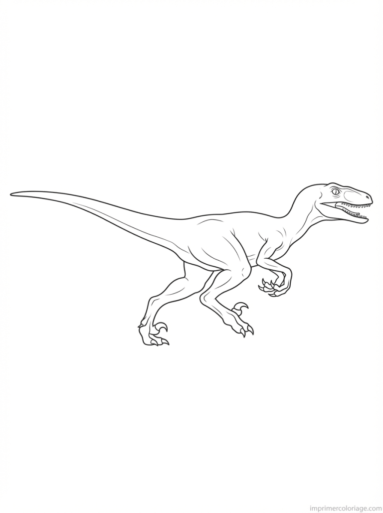 coloriage velociraptor course vitesse - dessin gratuit &agrave; imprimer