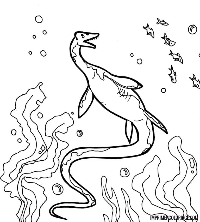 Coloriage De Dinosaures Marins Gratuit Imprimer 10 Dessins Coloriage De Dinosaures Marins Gratuit Imprimer 10 Dessins
