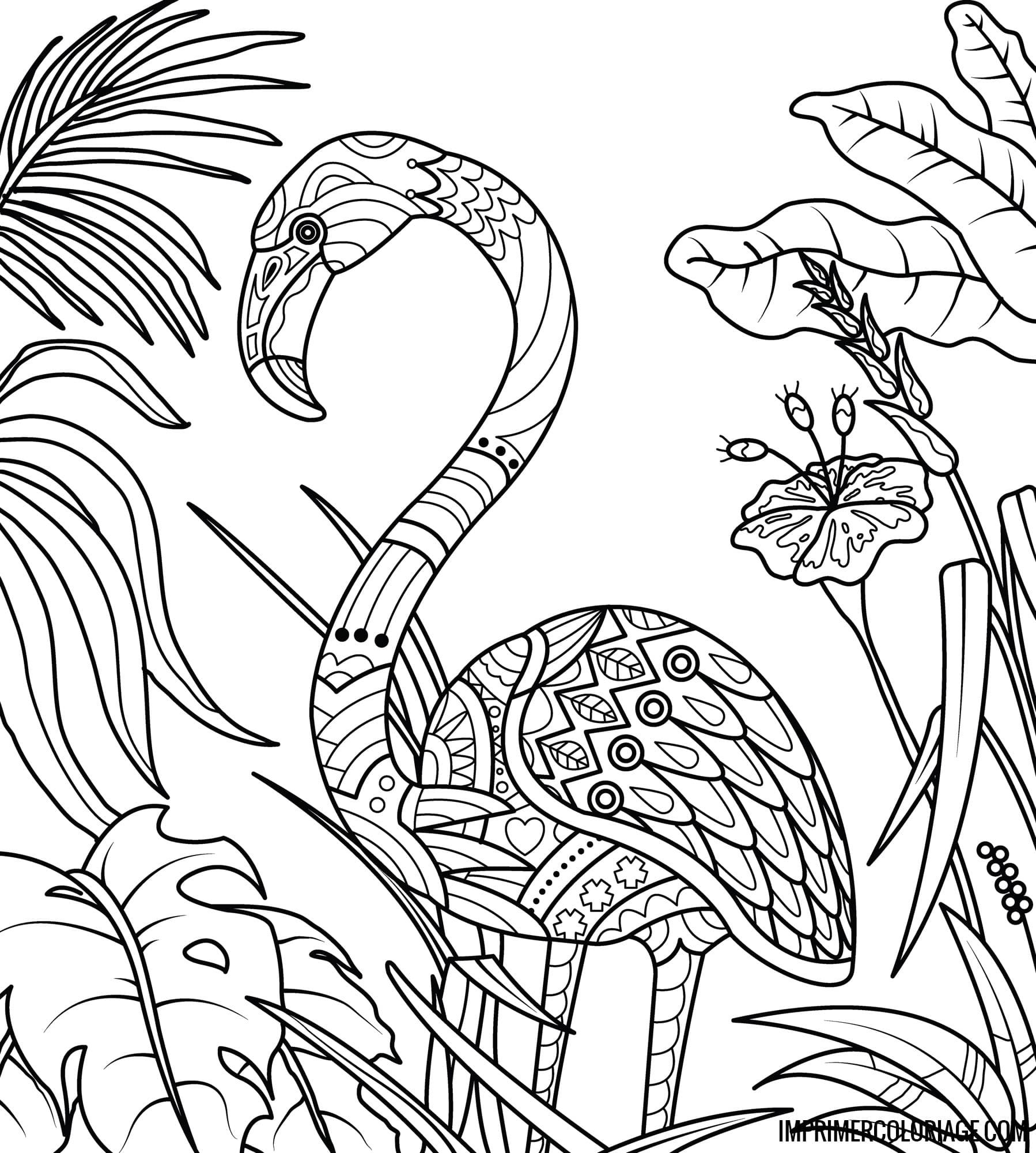 Coloriage Oiseau Mandala Imprimer Coloriage