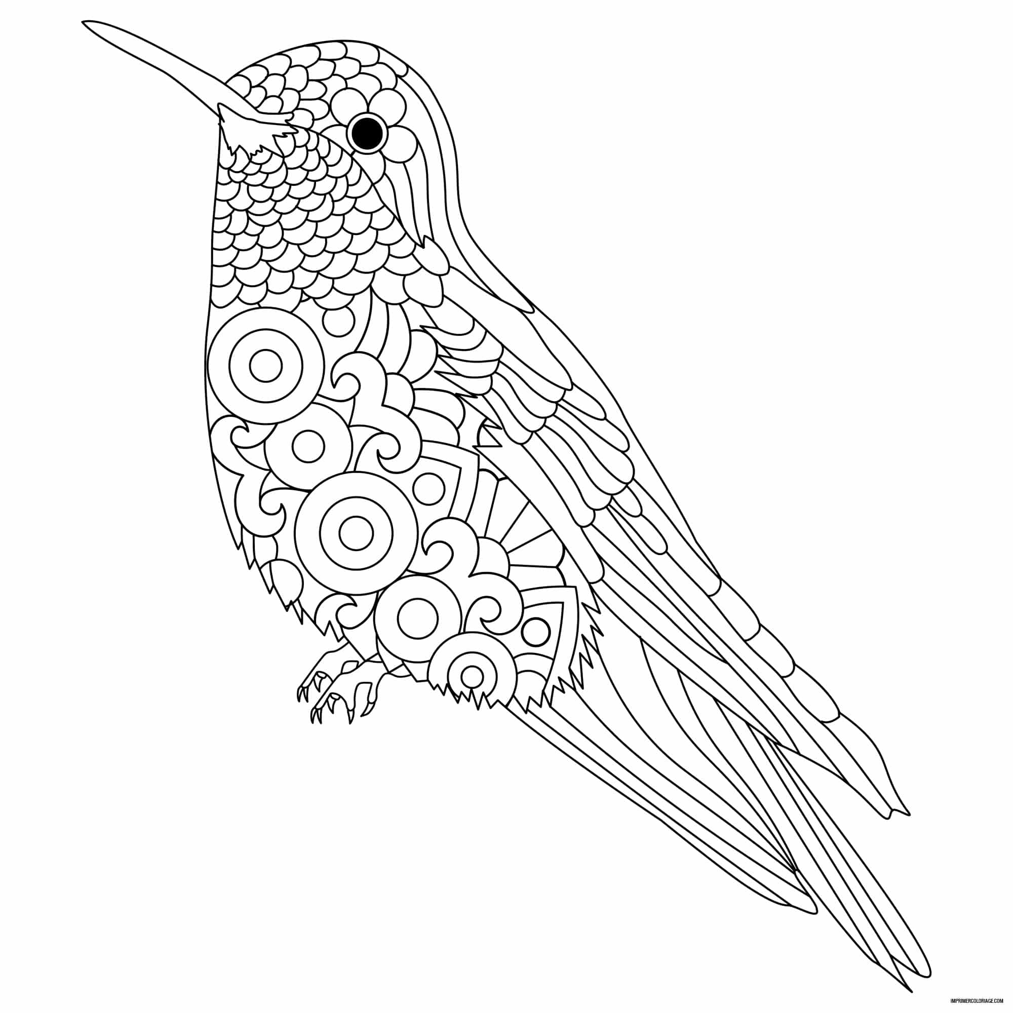 Coloriage Oiseau Mandala Imprimer Coloriage