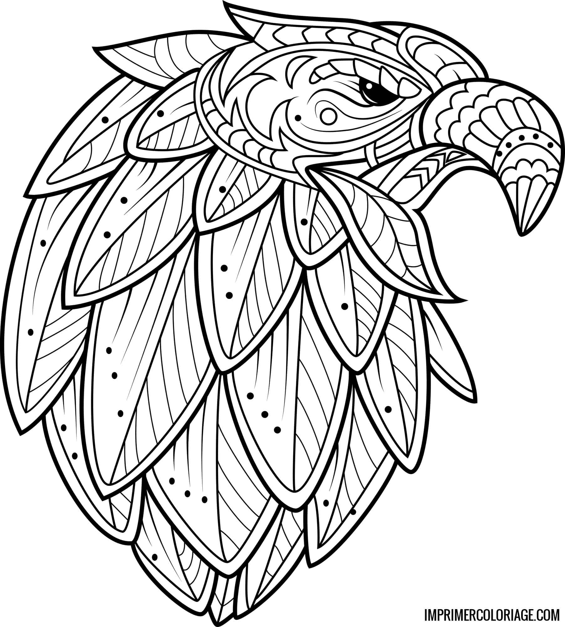 Coloriage Oiseau Mandala Imprimer Coloriage