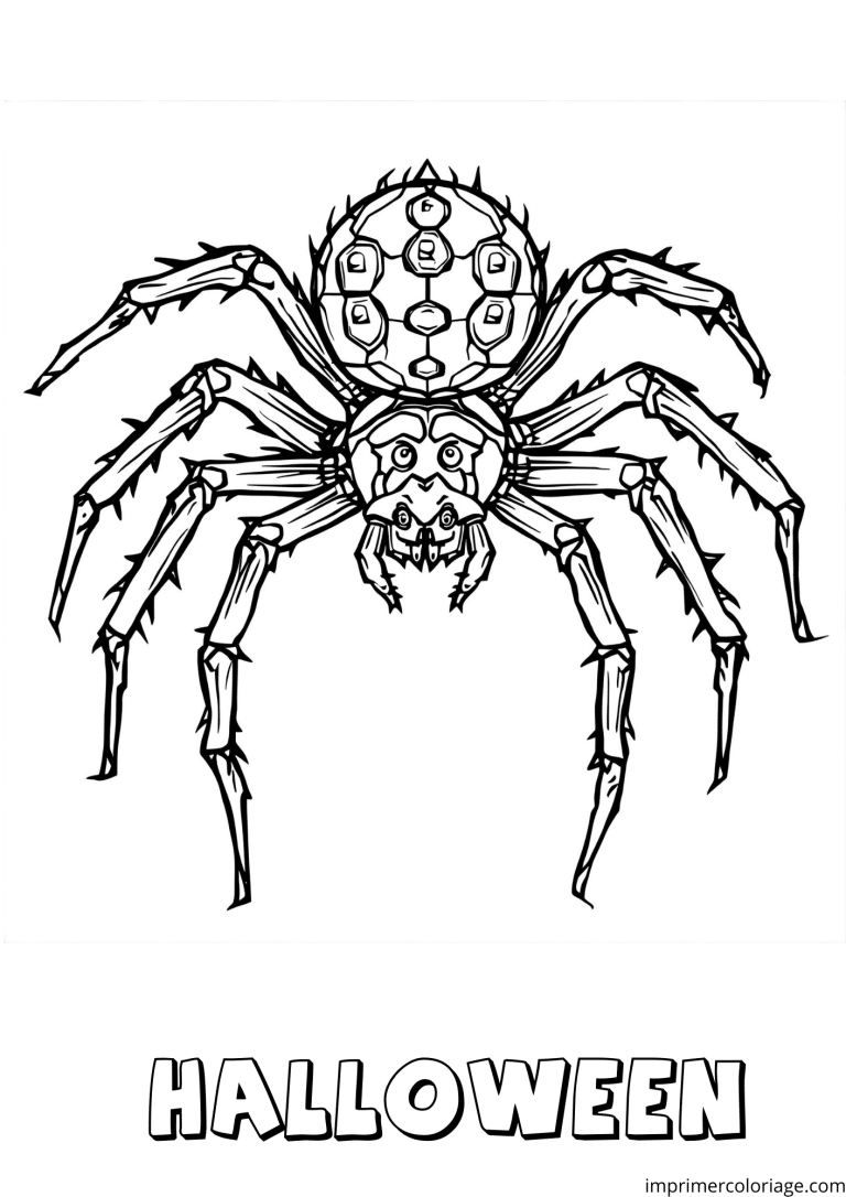 Coloriage gratuit Halloween araign&eacute;e effrayante &agrave; imprimer - dessin gratuit &agrave; imprimer