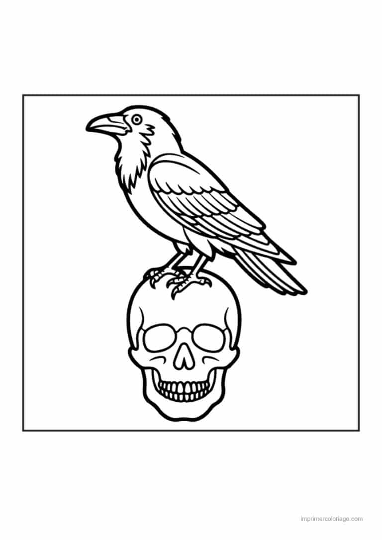 coloriage oiseaux halloween corbeau perche sur un crane - dessin gratuit &agrave; imprimer