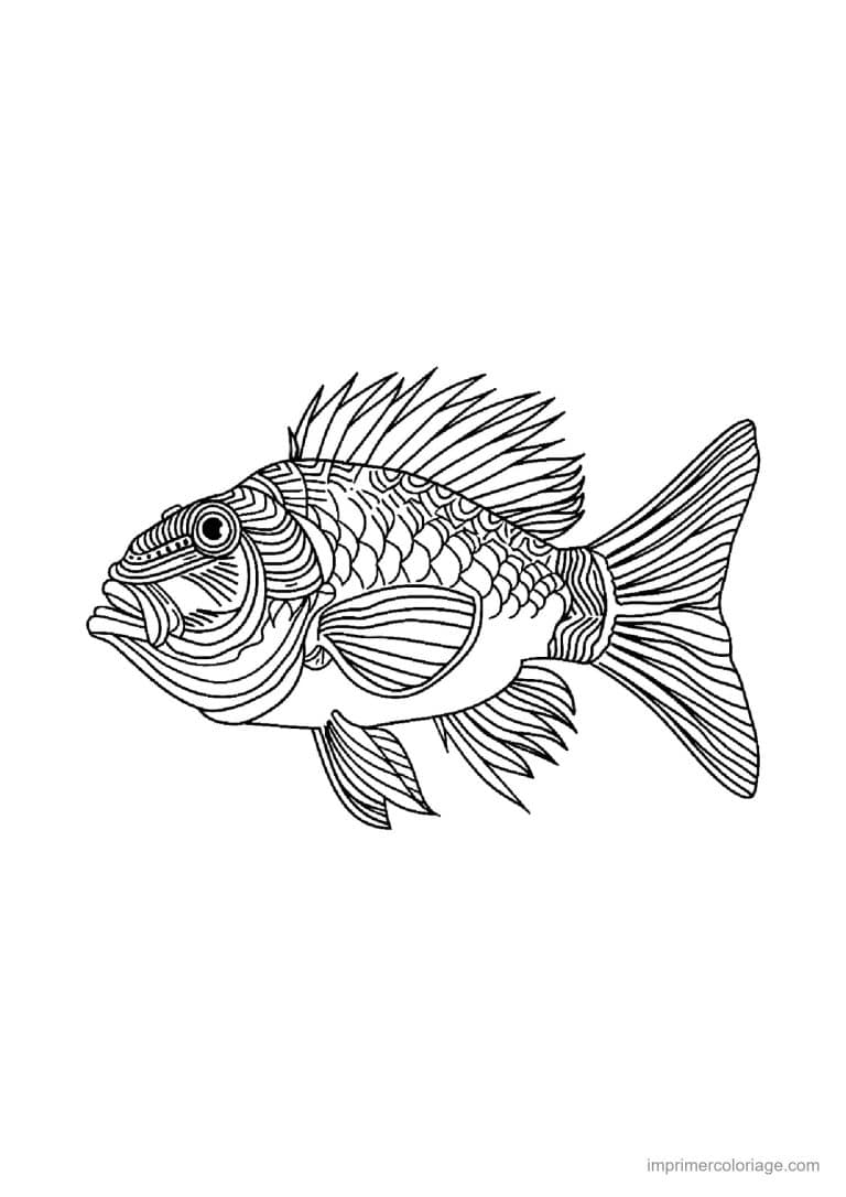 coloriage poisson mandala 06 - dessin gratuit &agrave; imprimer