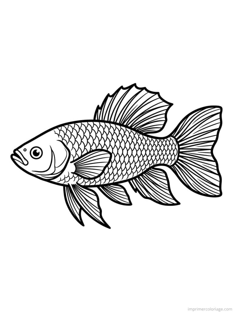 coloriage poisson profil ecailles - dessin gratuit &agrave; imprimer