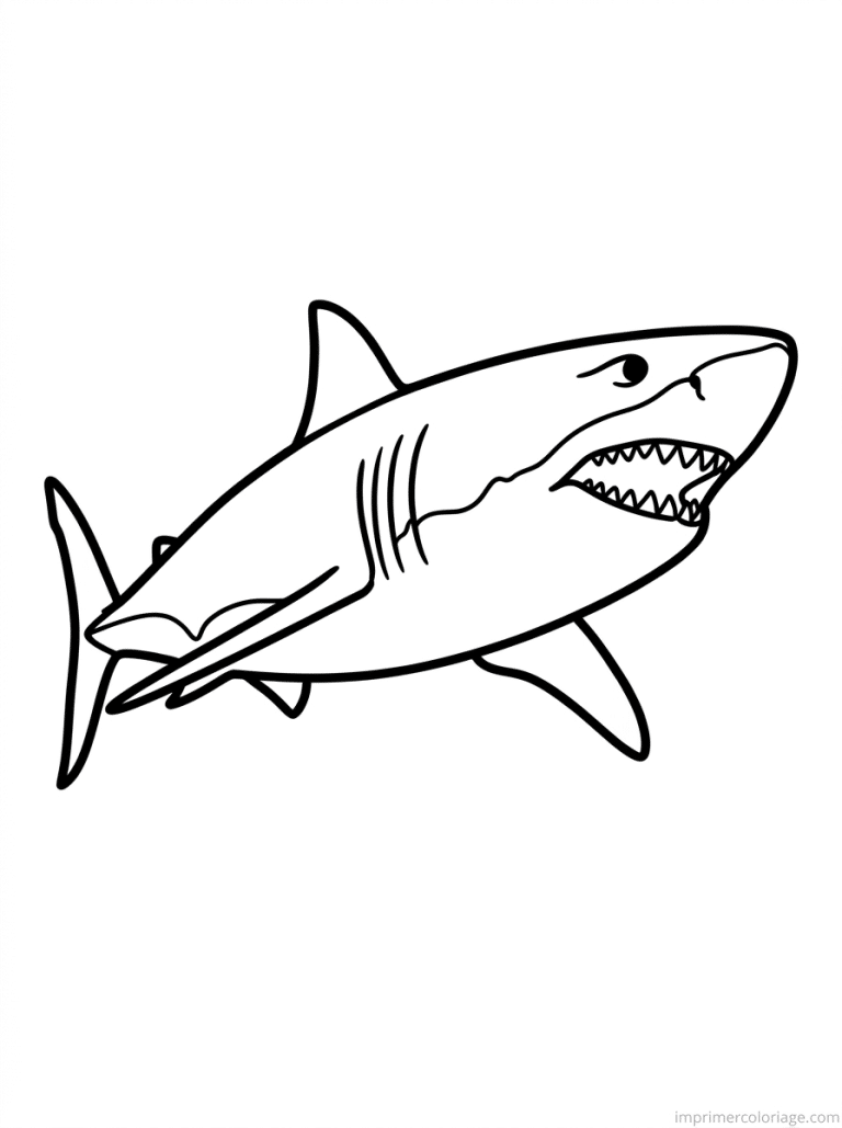 coloriage poisson requin nageoire - dessin gratuit &agrave; imprimer