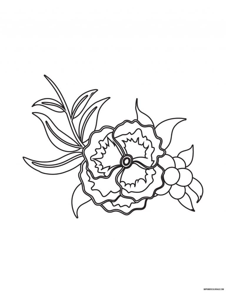 coloriage de fleur 13 - dessin gratuit &agrave; imprimer