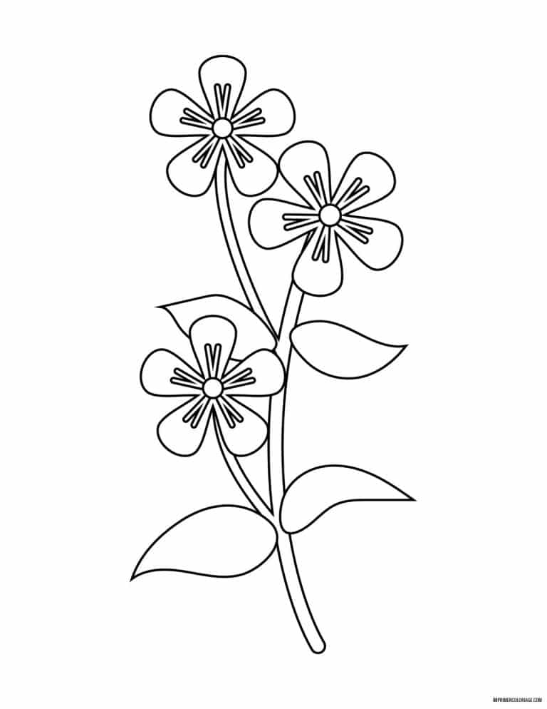 coloriage de fleur 17 - dessin gratuit &agrave; imprimer