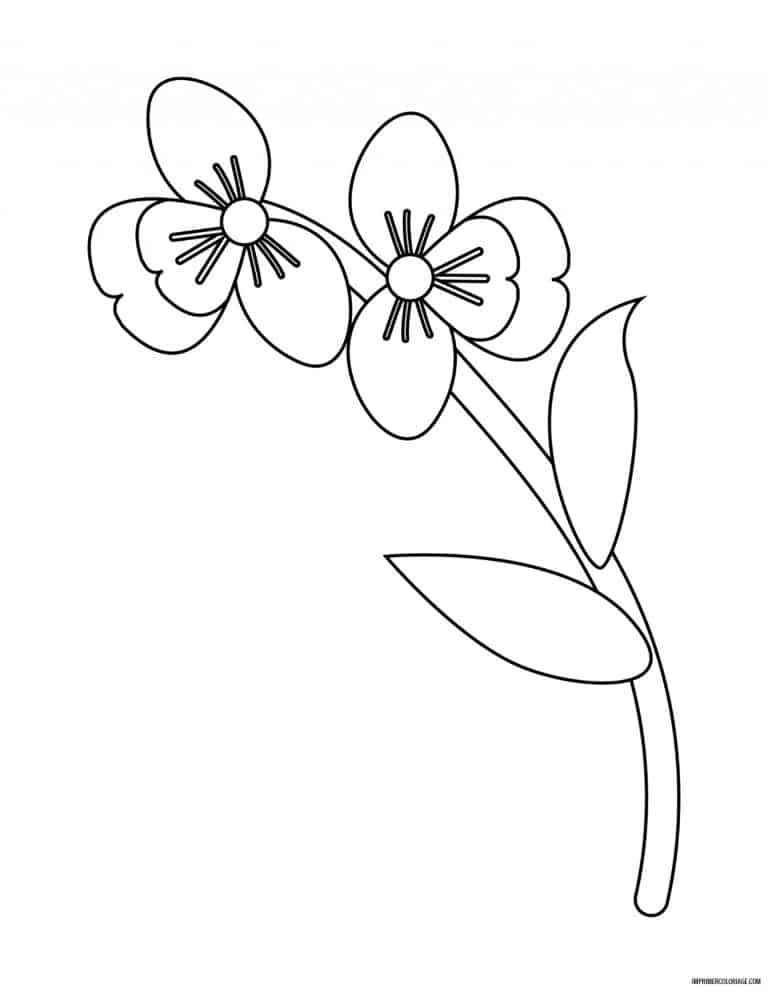 coloriage de fleur 18 - dessin gratuit &agrave; imprimer