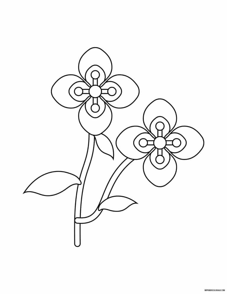 coloriage de fleur 20 - dessin gratuit &agrave; imprimer