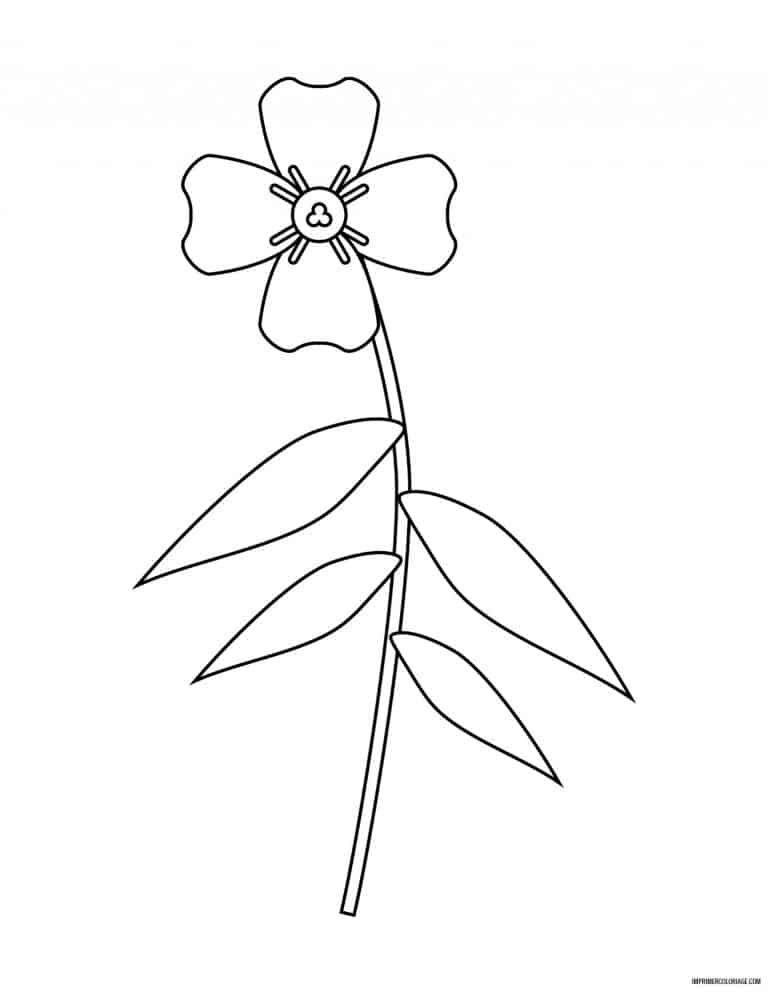 coloriage de fleur 21 - dessin gratuit &agrave; imprimer