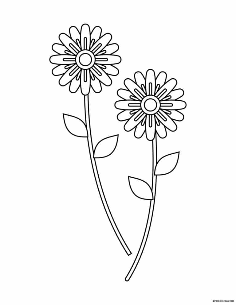 coloriage de fleur 25 - dessin gratuit &agrave; imprimer