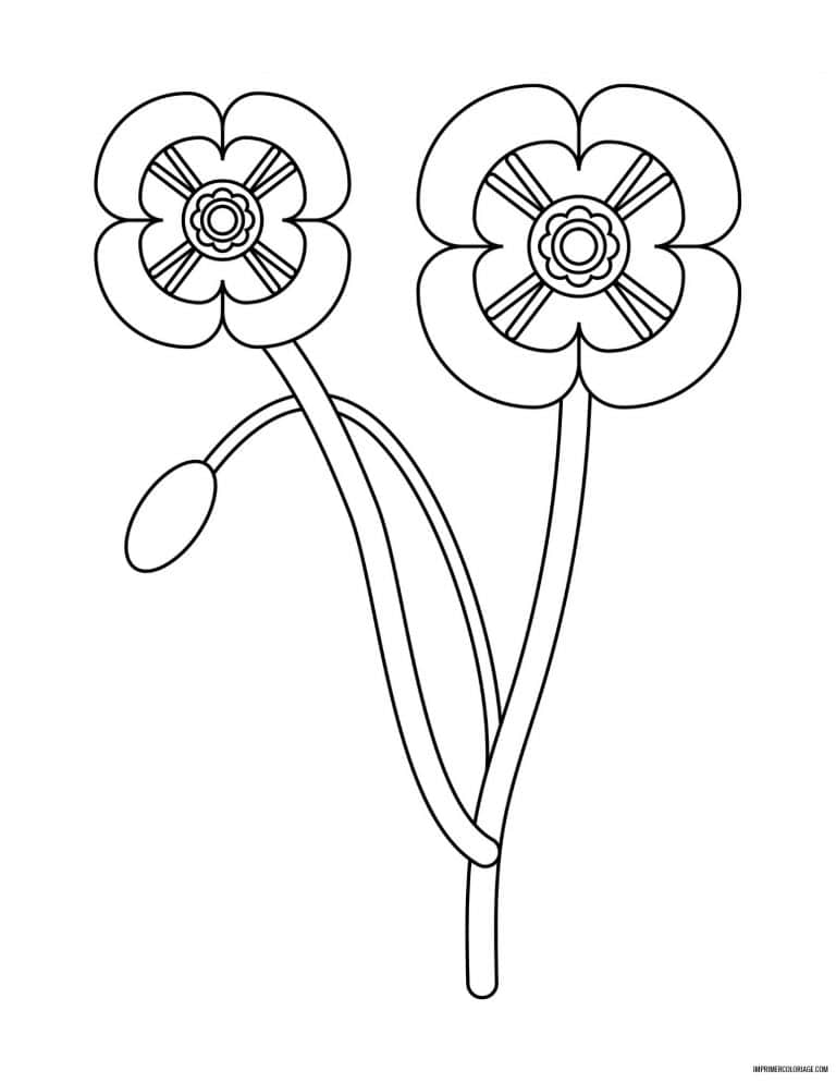 coloriage de fleur 26 - dessin gratuit &agrave; imprimer