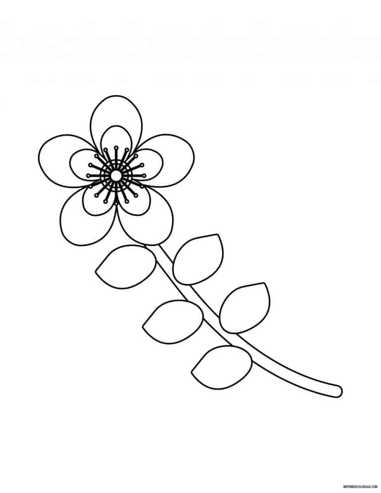 coloriage de fleur 28 - dessin gratuit &agrave; imprimer