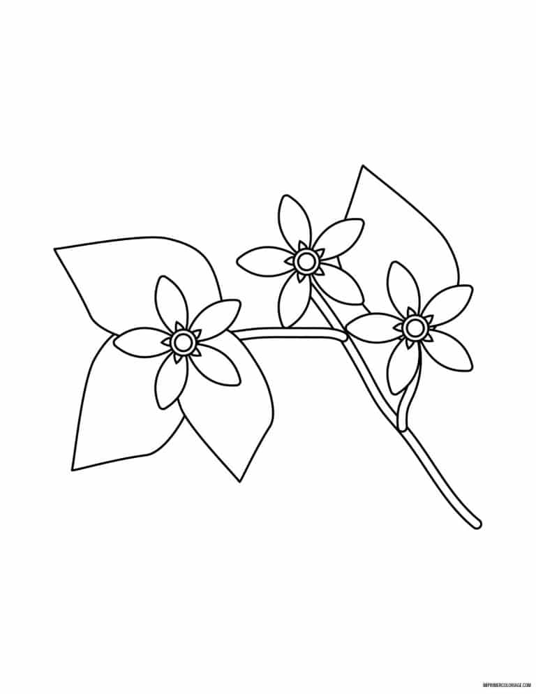 coloriage de fleur 29 - dessin gratuit &agrave; imprimer