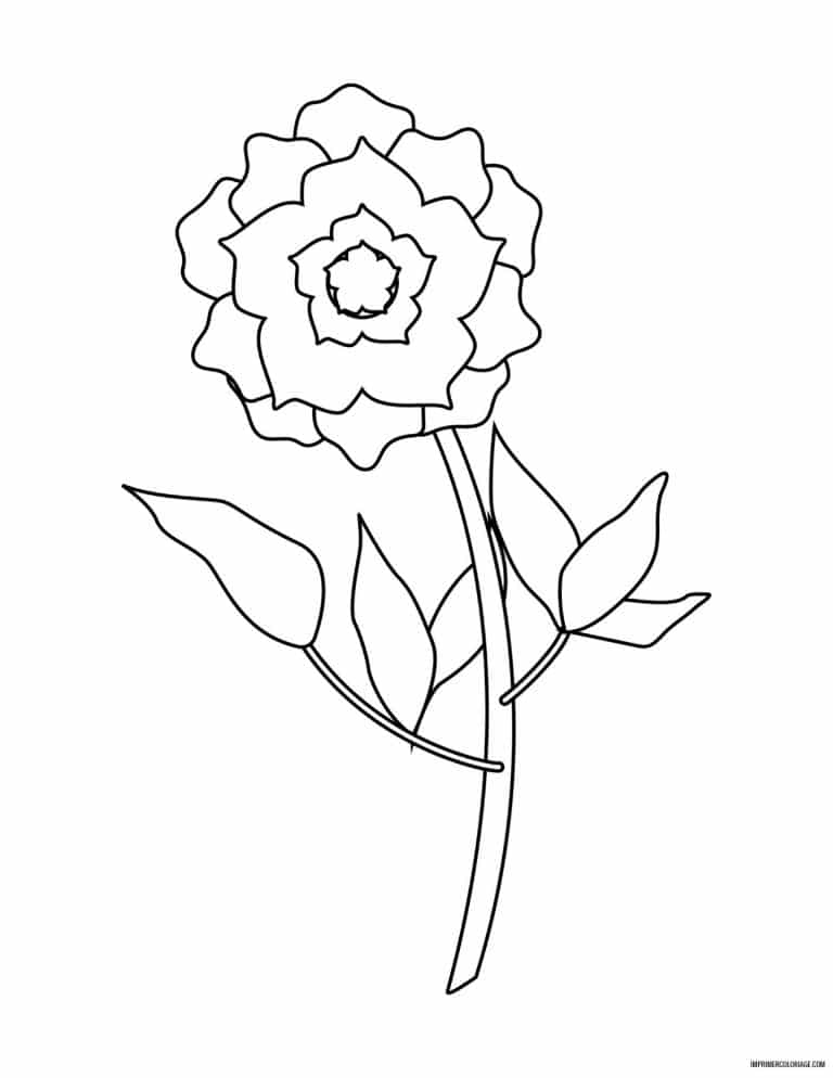 coloriage de fleur 30 - dessin gratuit &agrave; imprimer