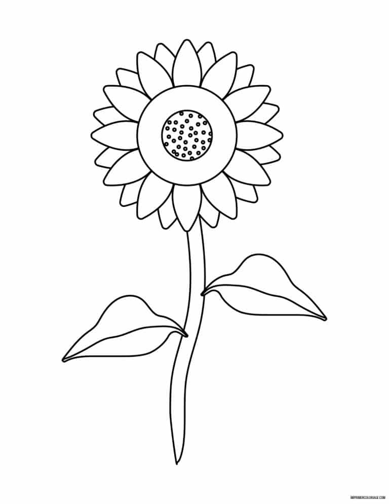 coloriage de fleur 31 - dessin gratuit &agrave; imprimer