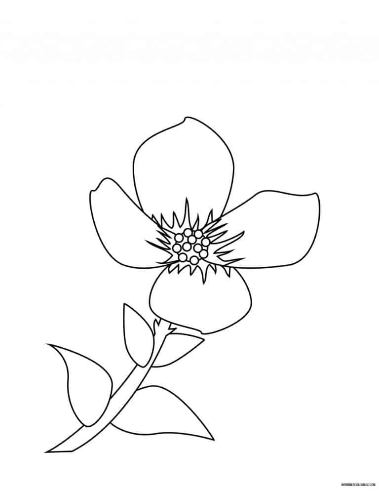 coloriage de fleur 33 - dessin gratuit &agrave; imprimer