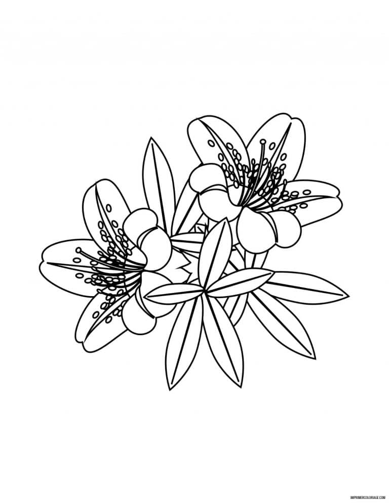 coloriage de fleur 34 - dessin gratuit &agrave; imprimer