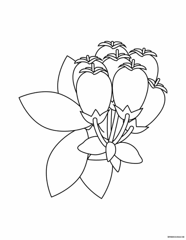 coloriage de fleur 36 - dessin gratuit &agrave; imprimer