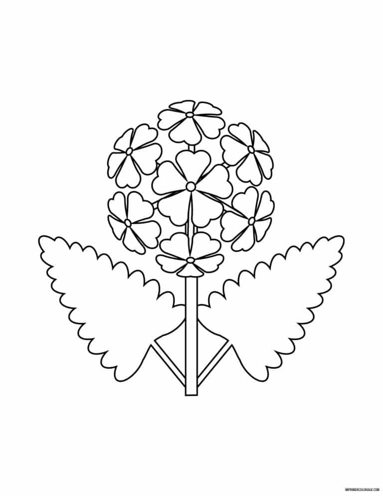 coloriage de fleur 37 - dessin gratuit &agrave; imprimer