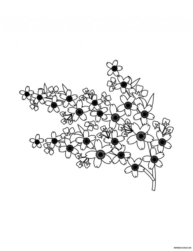 coloriage de fleur 39 - dessin gratuit &agrave; imprimer