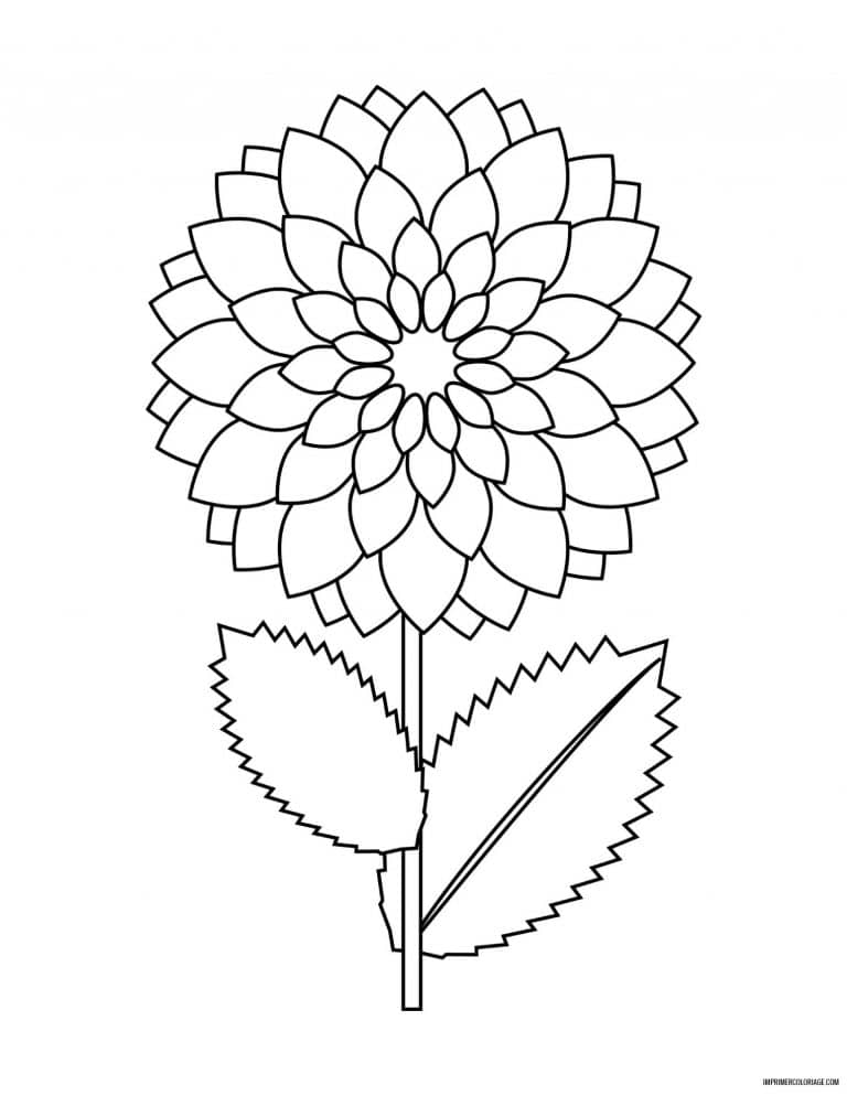 coloriage de fleur 40 - dessin gratuit &agrave; imprimer