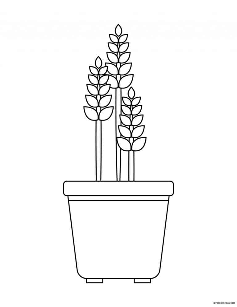 coloriage de fleur 5 - dessin gratuit &agrave; imprimer